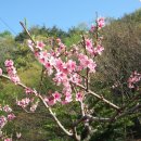 수락 농장 이미지