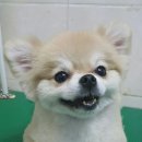 현대미용타운 이미지