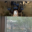 레인컨설팅 | 상무지구미용실 치평동미용실 본디헤어상무점에서 광주헤어컨설팅 만족후기