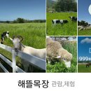 초아목장 이미지