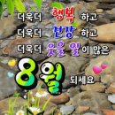 8월엔? 이미지