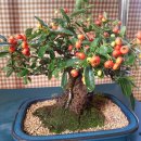 대원자동차 이미지