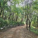 우면산3-20 이미지