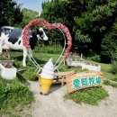 기선목장 이미지