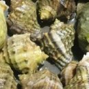 햇빛민박 이미지