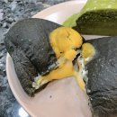 식빵코끼리