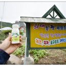 하대리목장 이미지