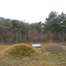 새만금바람길 이미지