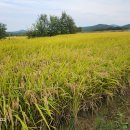 봉화 춘양의 국립 백두대간 수목원을 다녀오다. 이미지