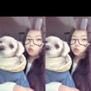 왈왈스테이 이미지