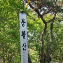 여수.돌산종주 이미지