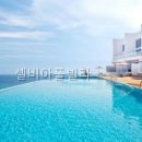 셀비아펜션 | 셀비아풀빌라 가족과 함께 한 특별한 주말