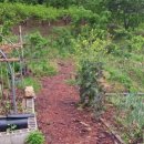 부용공인중개사사무소 이미지