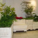 형치과병원 이미지