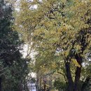 키르기스스탄 6박7일3, 춤으로 만나는 세계 속 우리, &#39;동행&#39;