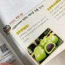 스페인어 첫걸음 | 중국어 인강 &amp; 교재 &amp; 미니북까지 왕초보 맞춤형 중국어 교재 『맛있는 중국어 독학 첫걸음』 독학 후기!