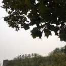 중앙미술화방