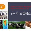 에프앤티컨설팅 이미지