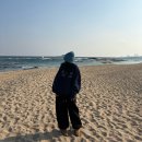 룩호텔 | [겨울 데일리룩/위시리스트] 미스테리어스호텔 후기 / 위시리스트