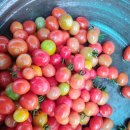 산두른마을 이미지