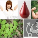 도삼지 이미지
