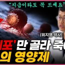 이 영양제를 드시면 췌장암, 대장암, 유방암을 예방 할 수 있어요 제발 이거 드세요 이미지