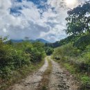 봉미산 계곡 예당 이미지