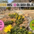 촌캉스독채외갓집 이미지