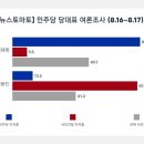 민주당 당대표 여론조사 이미지