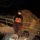 [경상북도] 고령 힐링오름캠핑장 솔직이용후기 / 크리스마스 캠핑일기