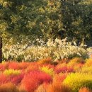 칠성원시장 | 대구 가볼만한곳 칠성야시장 호불호(+ 먹거리, 영업시간, 주차장)