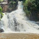 마제농장 이미지