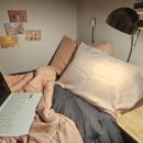 리브가 스테이 이미지