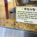 다비치안경 | [2025] 경주 다비치안경 후기 | 비치비치다비치 | 경주 현지인 단골 안경집 | 경주안경