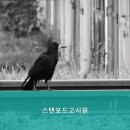 신림동고시원 스탠포드고시원 쾌적한 환경의 고시원