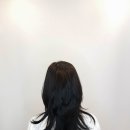 미즈헤어 네이버블로그