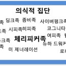 통크기획