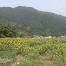 논개생가(주촌)마을 이미지