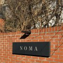 노마하우스 원데이 대표님 촬영후기2 | 아이폰스냅 포함 NOMA HOUSE 이노마