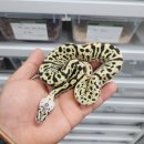 우성슈퍼 이미지