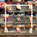 강남 맛집 역삼역 근처 가성비 오마카세 [삼미미 스시 앤 이자카야] 런치스시 후기