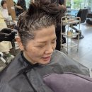 마나님 염색 하시다 이미지