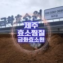 제주효소찜질 제대로 받는 곳, 금화효소원제주점에서 힐링했어요