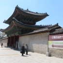 용마루정비 | 봄볕 아래 걷는 고궁의 시간, 창경궁 1