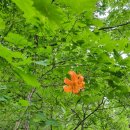 종호농장 이미지