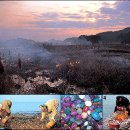 충청남도 태안 - 무한대의 해안선 펼쳐진 ‘낙지발’ 반도 이미지