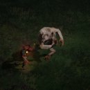 에드앰 | 디아2 키우고 싶은 예능 빌드 (개인 메모장)