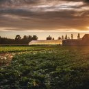 점수농장 이미지