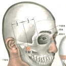 [下關穴][하관혈] 이미지