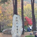 관광단지 주차장 | 서울 근교 단풍명소 용문산 관광단지 은행나무 방문후기